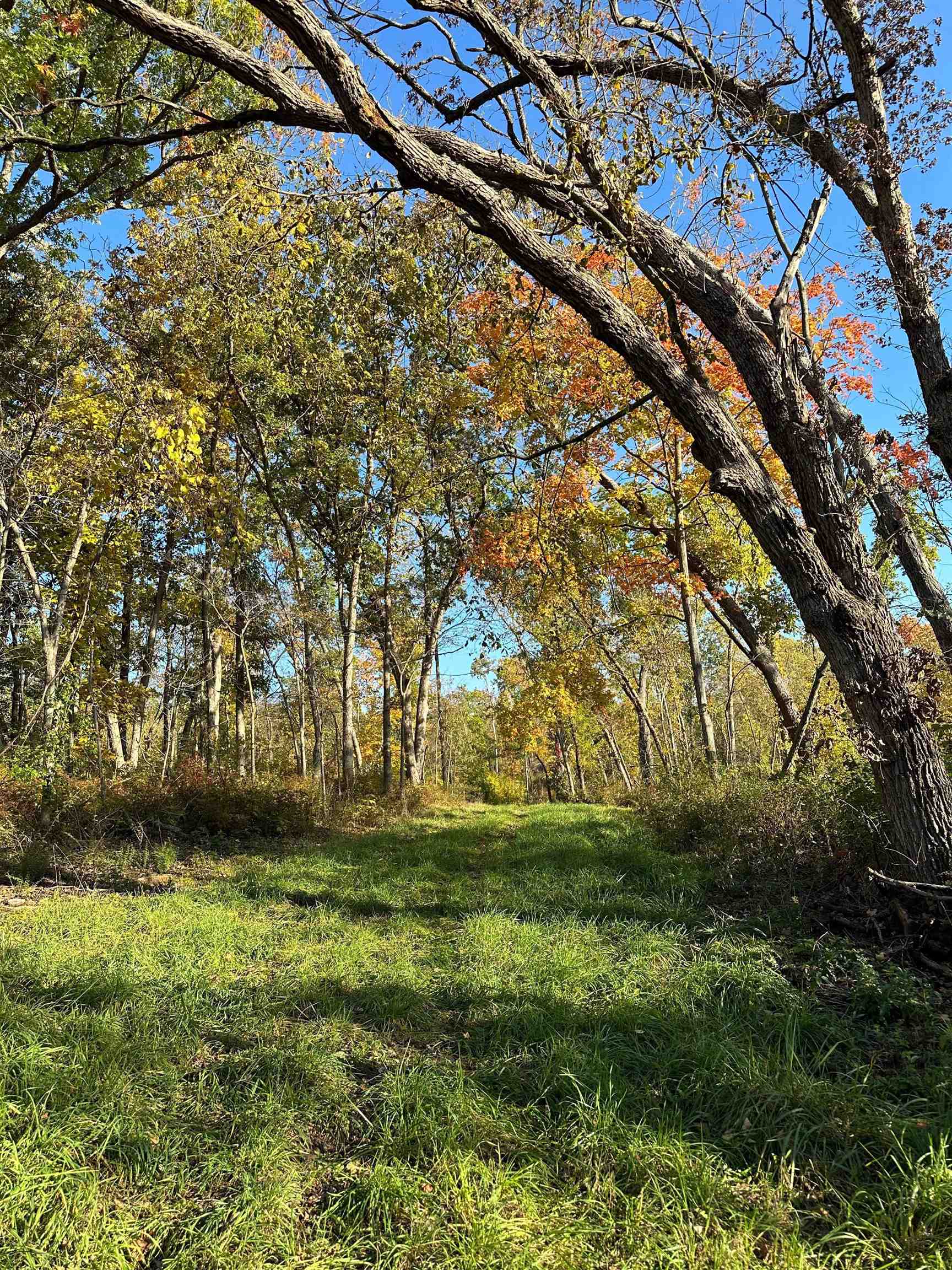 00 N River(40 acres MOL) Road