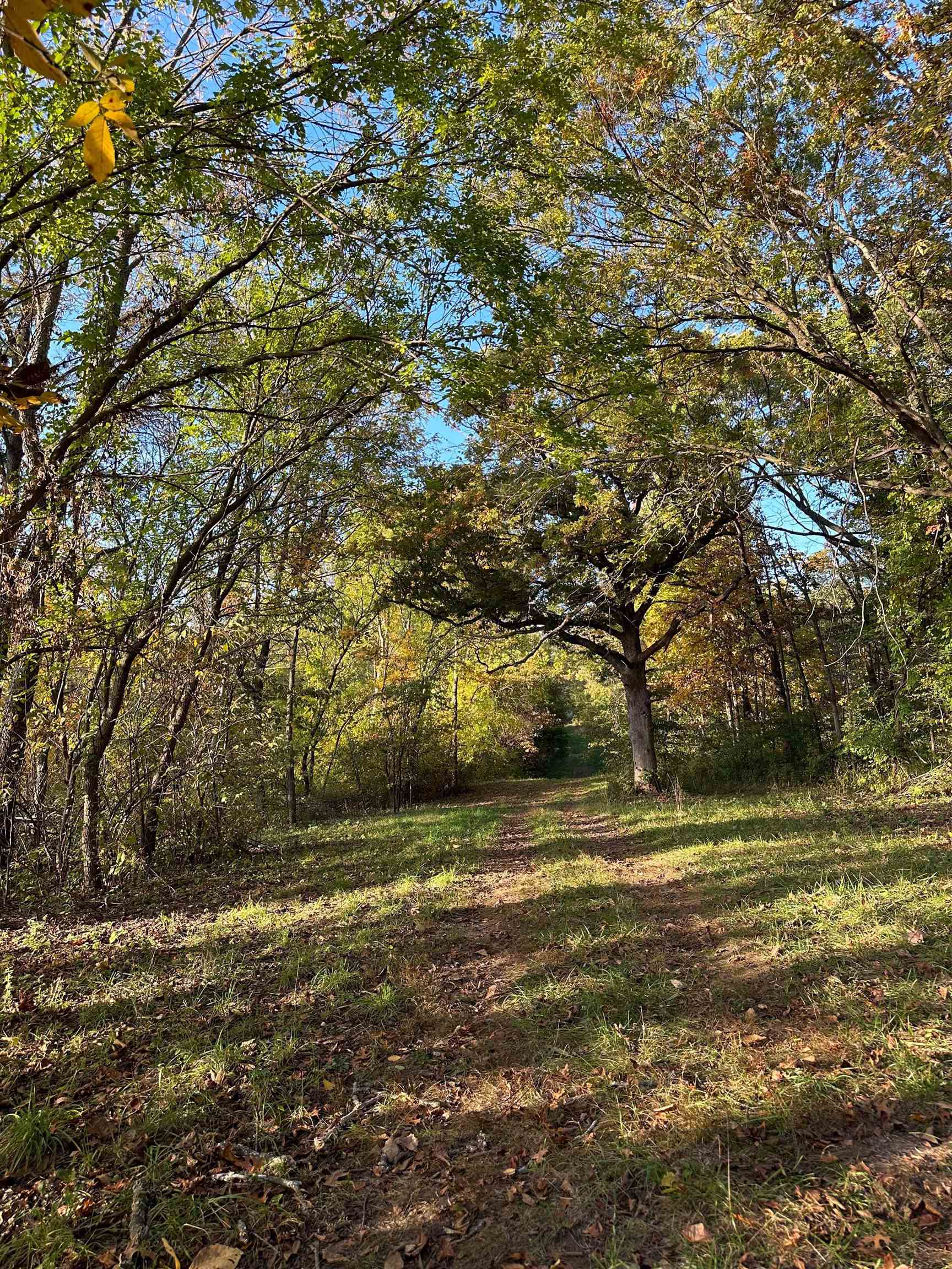 00 N River(40 acres MOL) Road