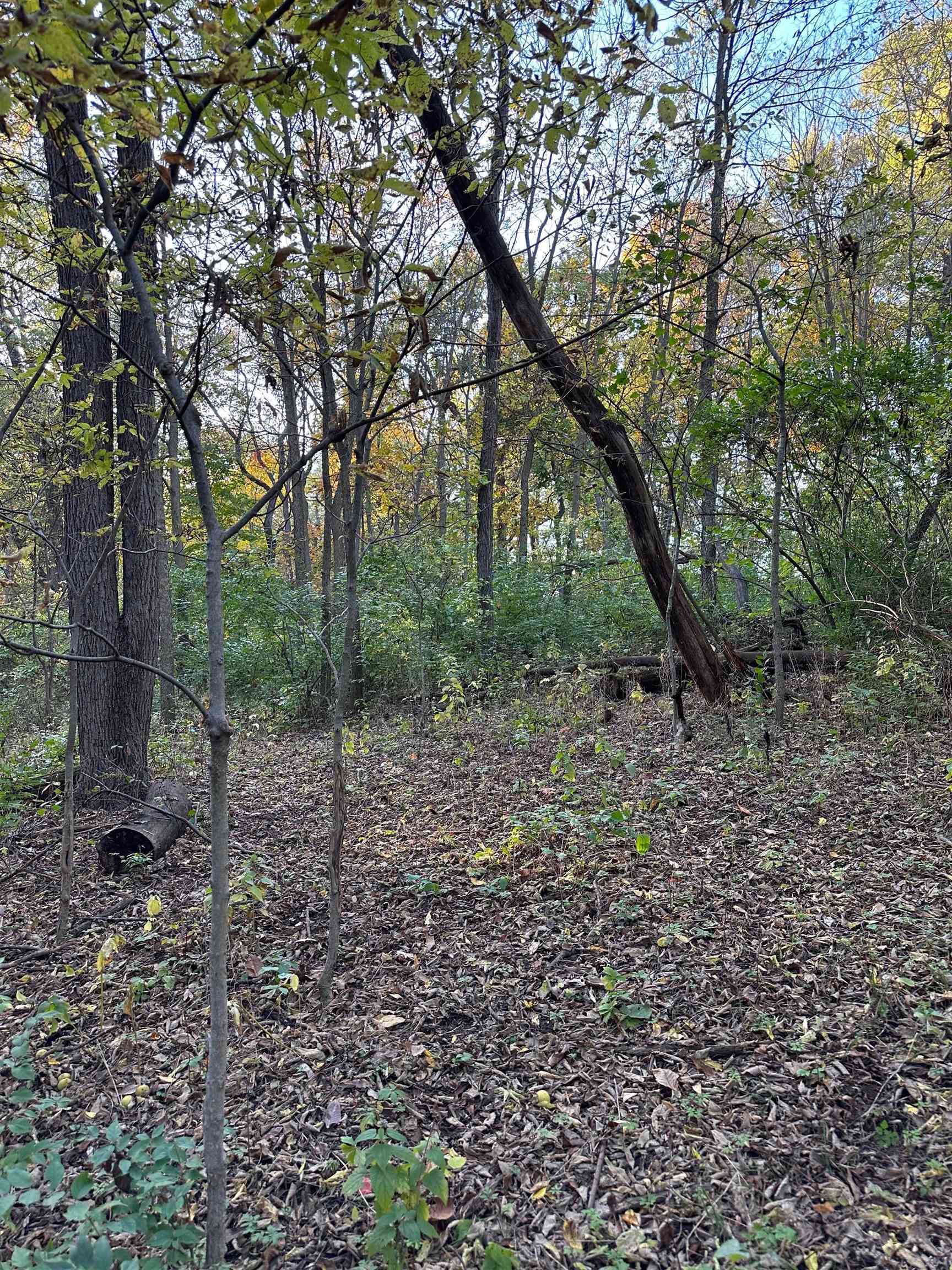 00 N River(40 acres MOL) Road