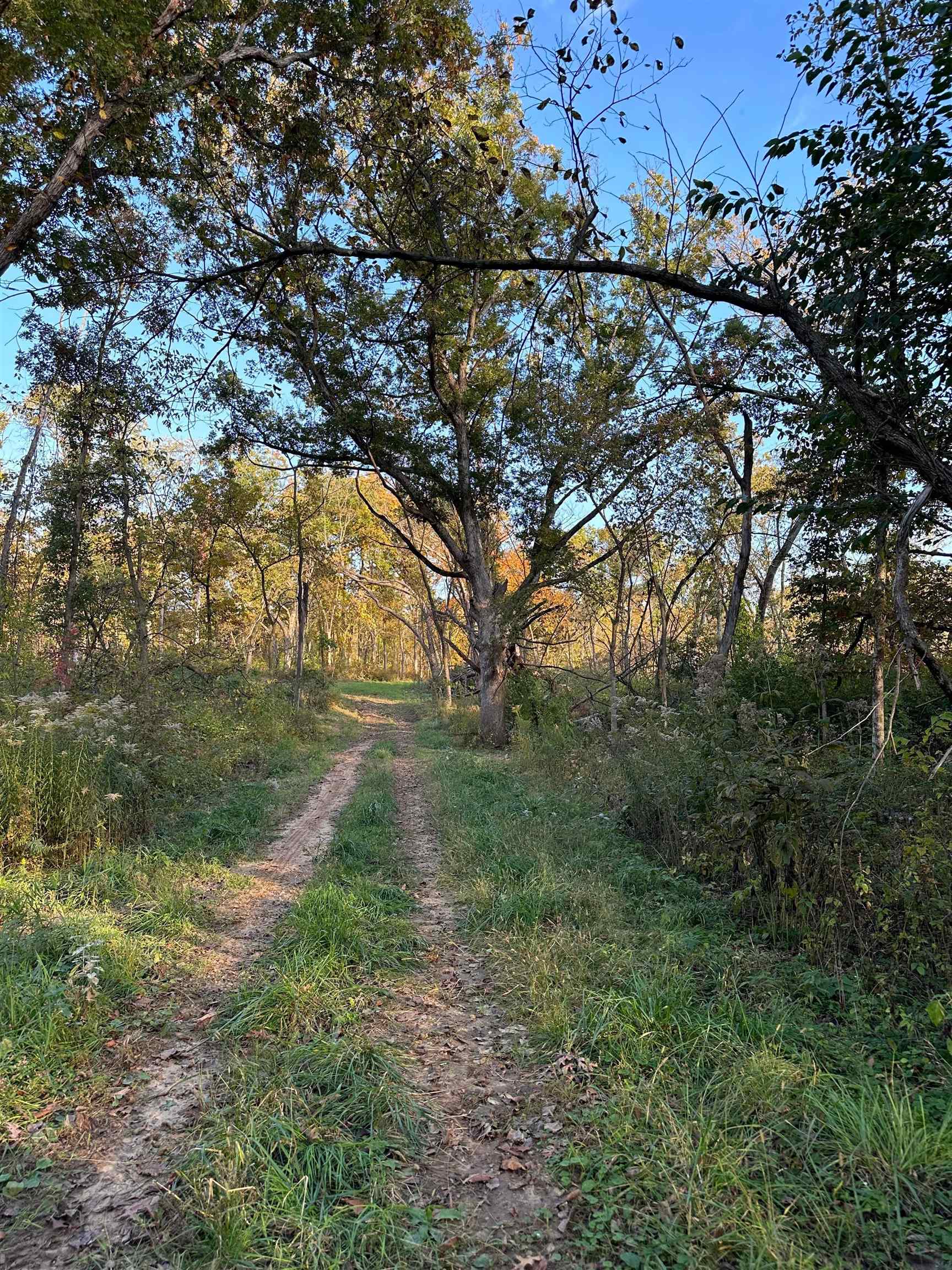 00 N River(40 acres MOL) Road