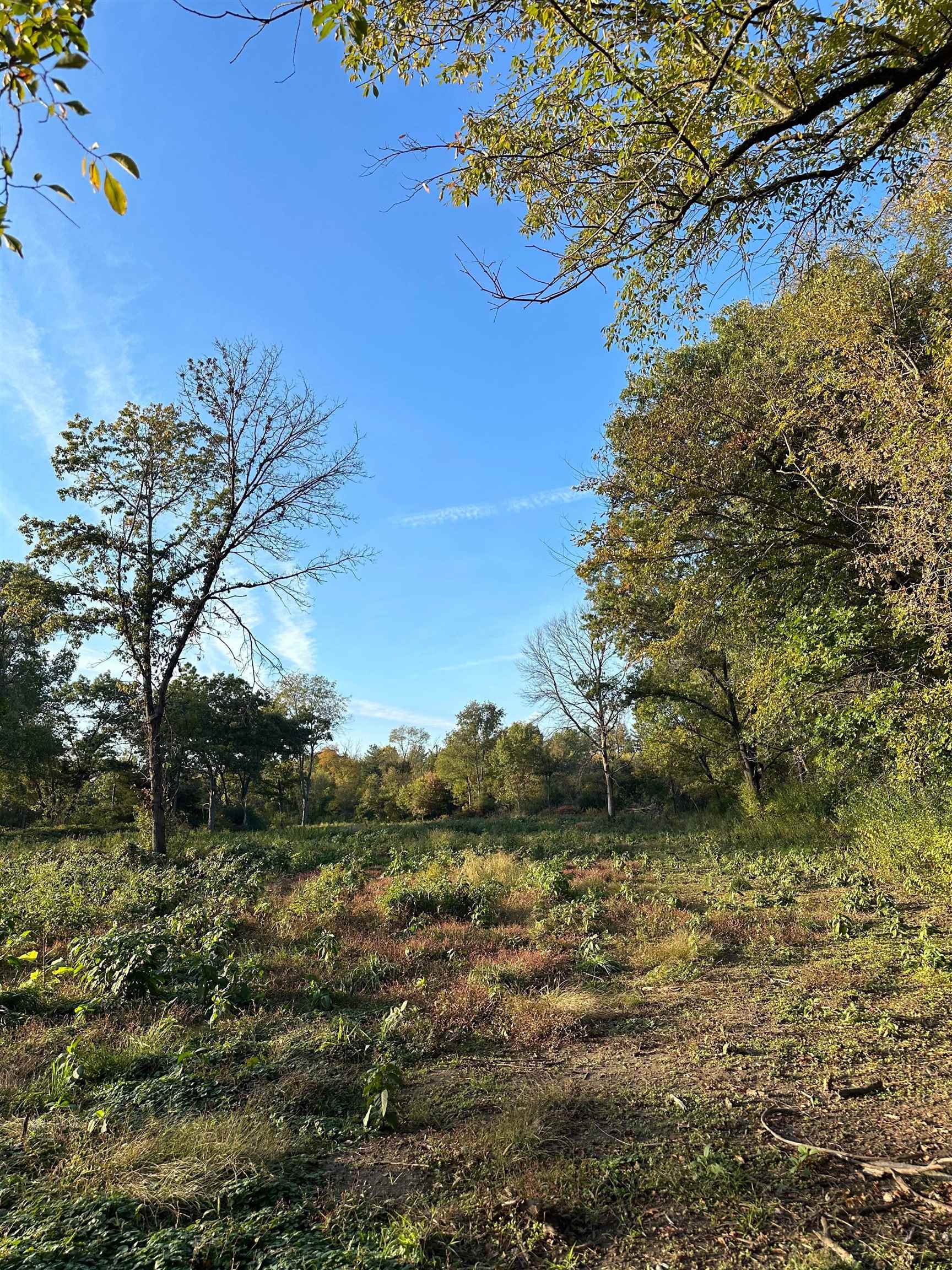 00 N River(40 acres MOL) Road