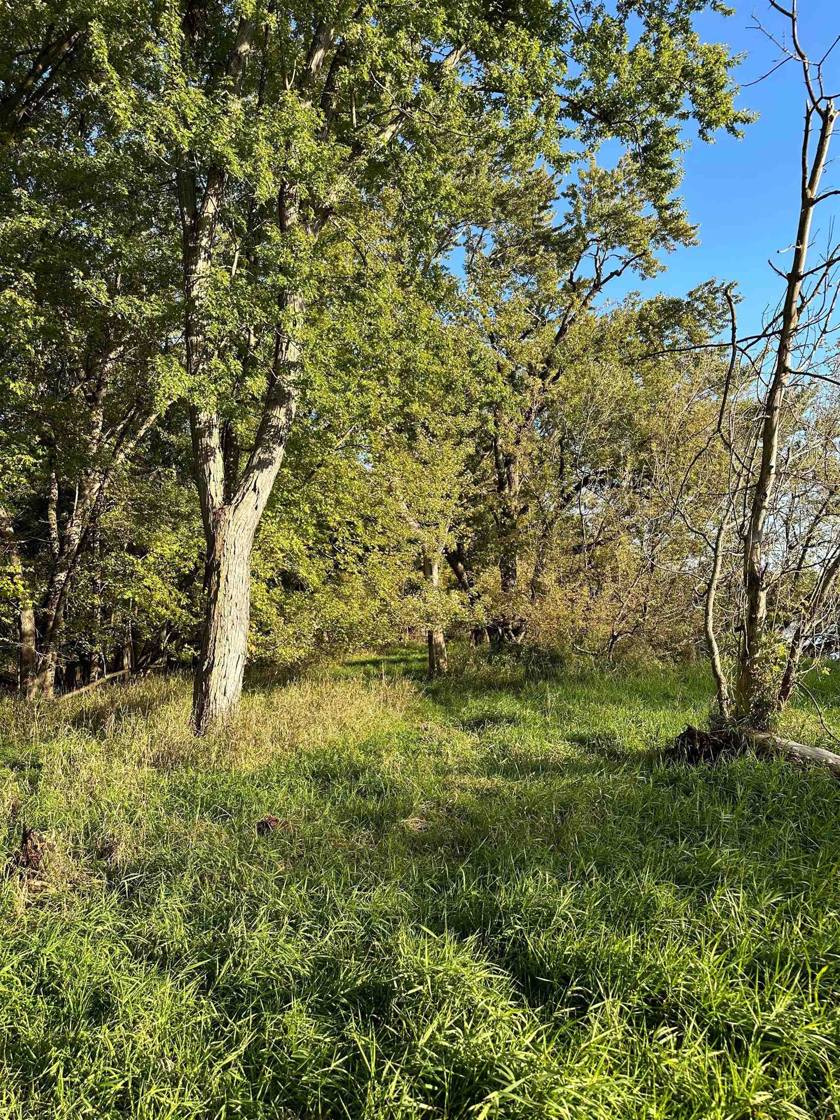 00 N River(40 acres MOL) Road