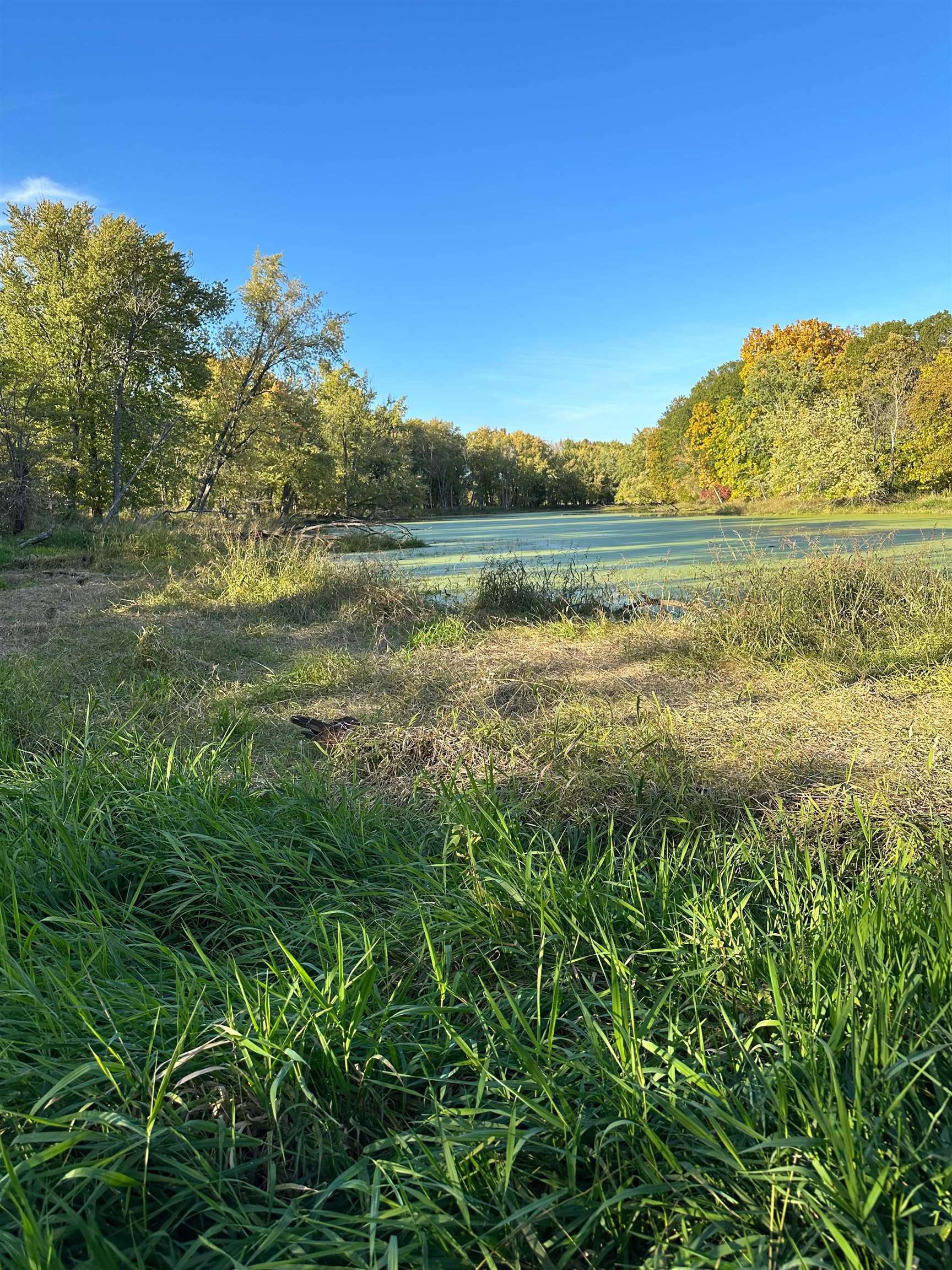 00 N River(40 acres MOL) Road