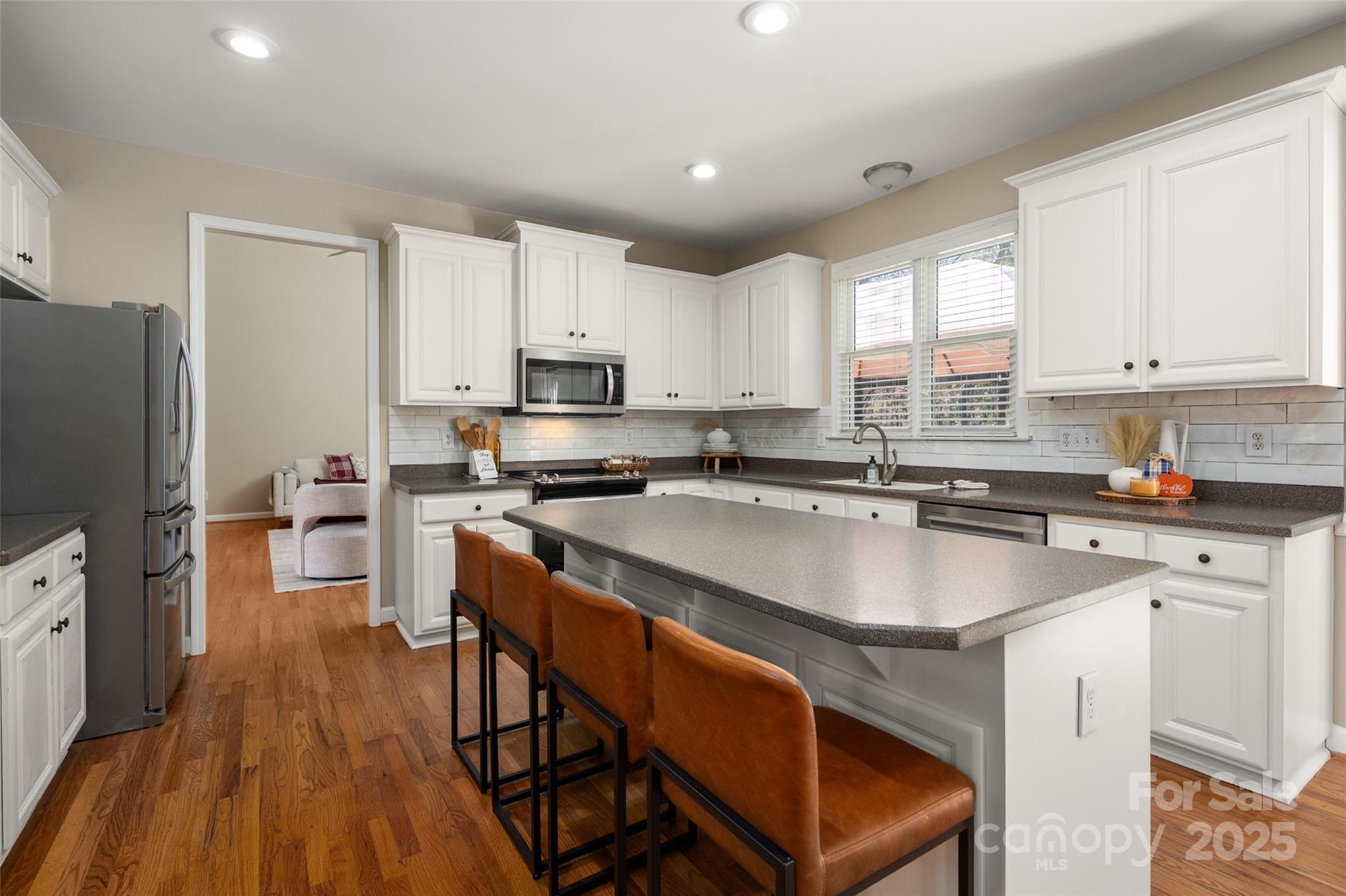 13812 Ballantyne Meadows Drive