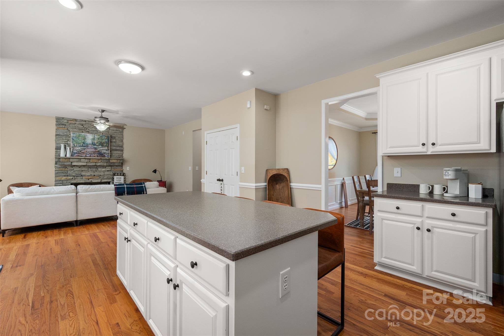 13812 Ballantyne Meadows Drive