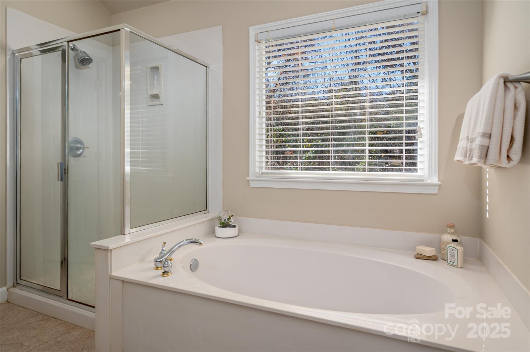 13812 Ballantyne Meadows Drive