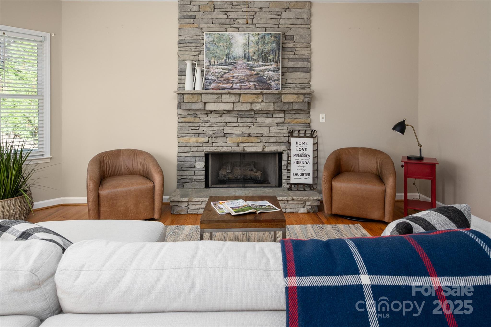 13812 Ballantyne Meadows Drive