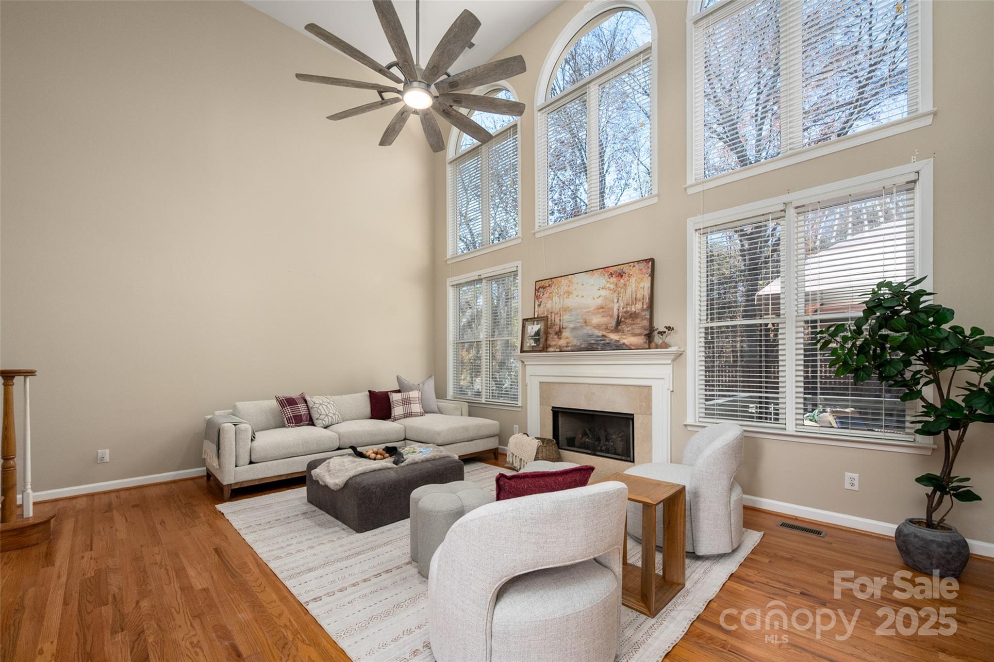 13812 Ballantyne Meadows Drive