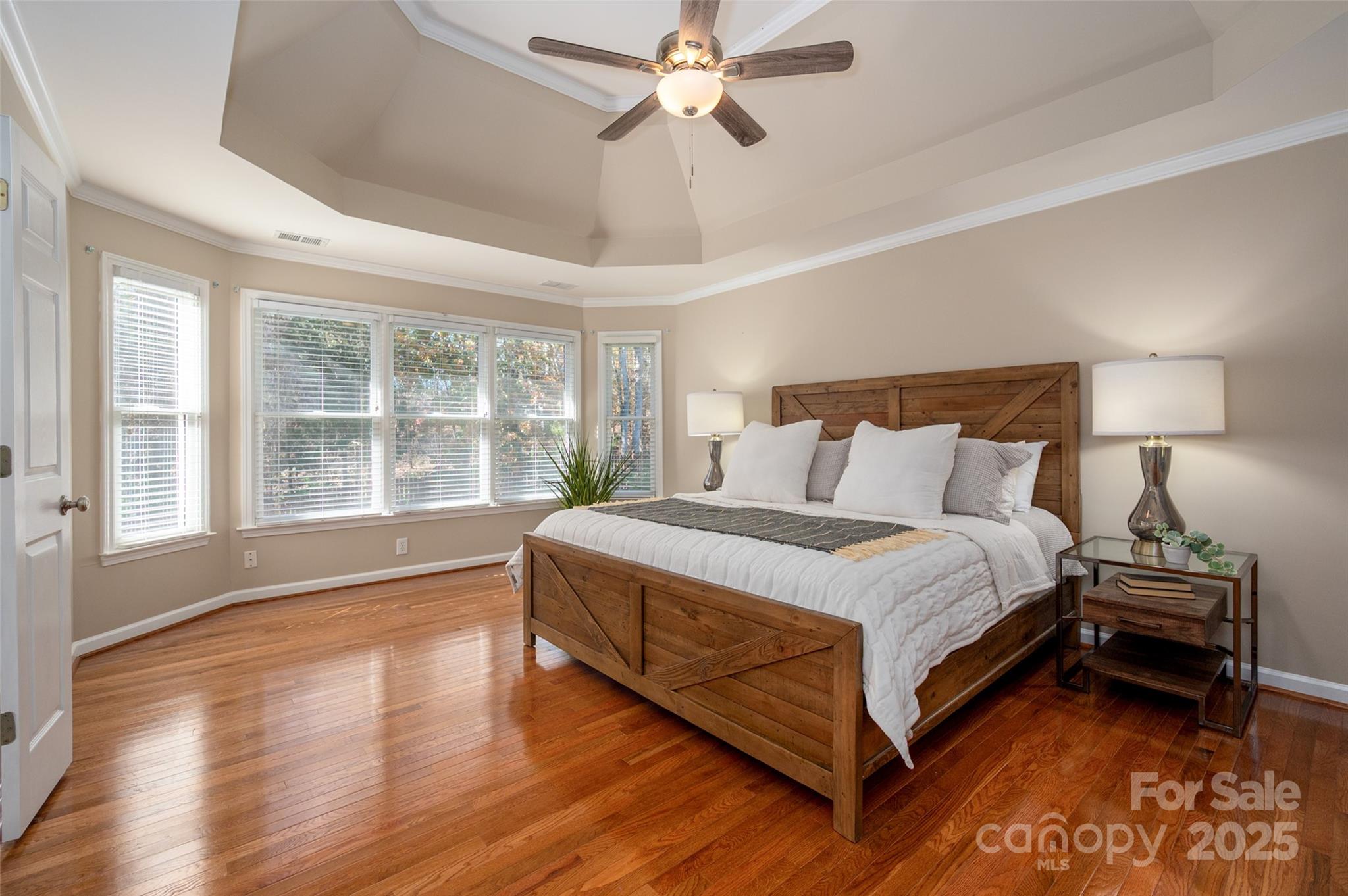 13812 Ballantyne Meadows Drive