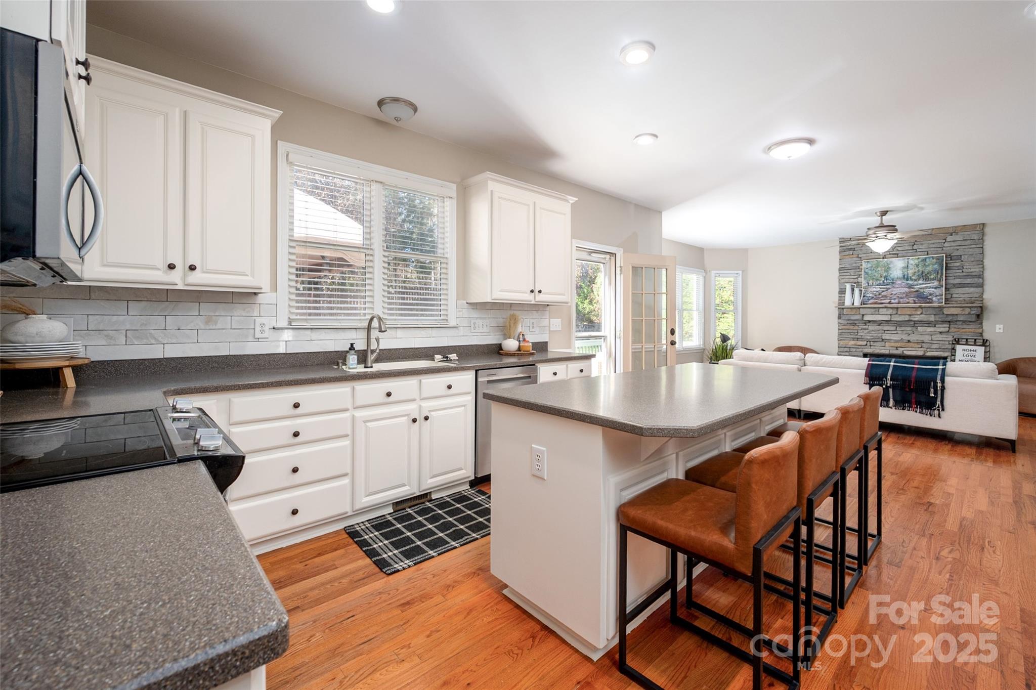 13812 Ballantyne Meadows Drive