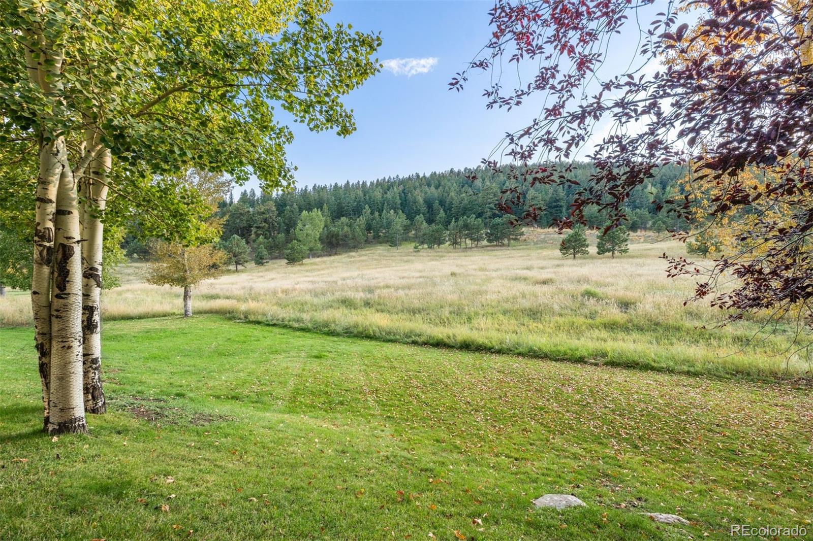 30390 Beaver Creek Lane