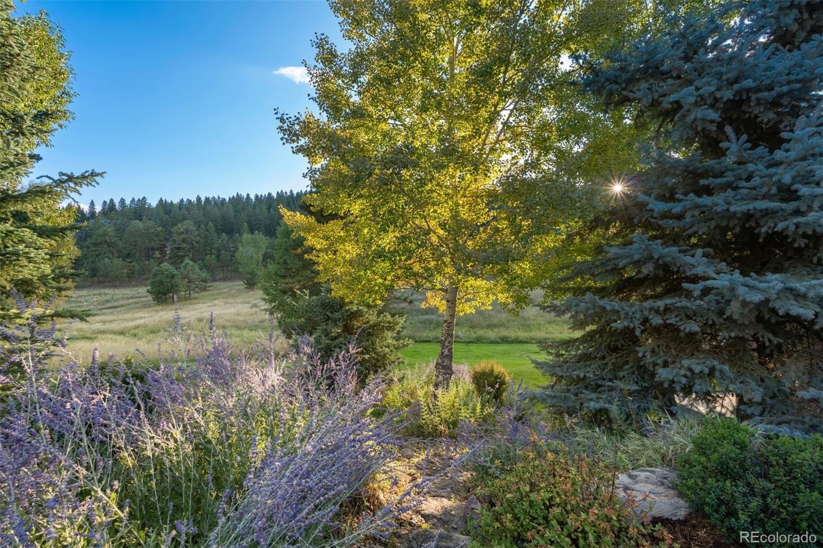 30390 Beaver Creek Lane