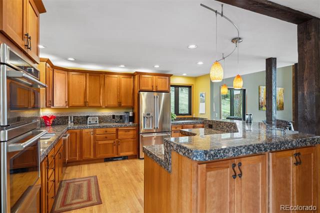 7282 Silverhorn Drive