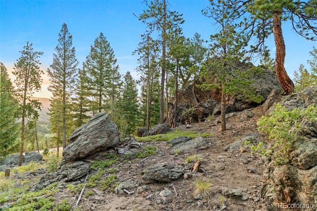 6391 Canyon Creek Road