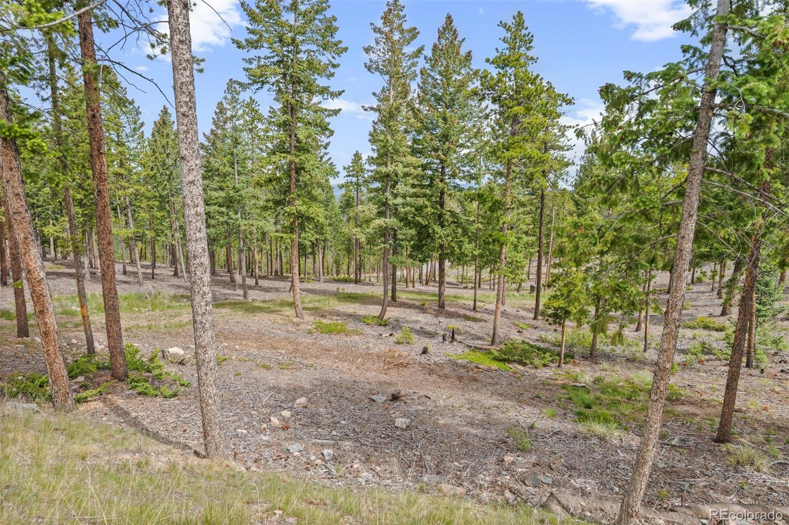 6391 Canyon Creek Road