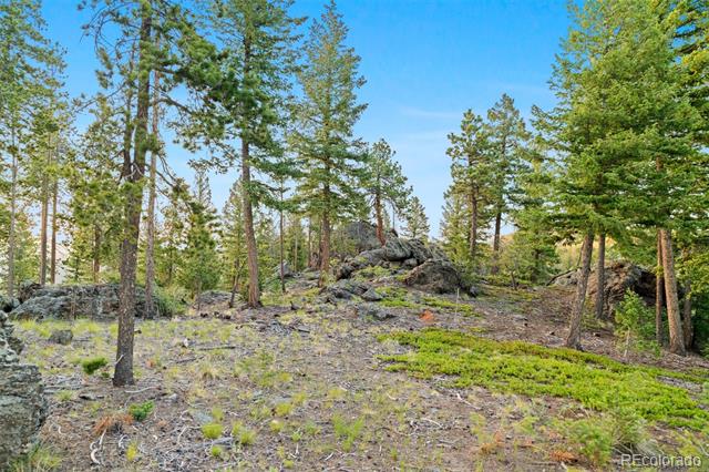6391 Canyon Creek Road