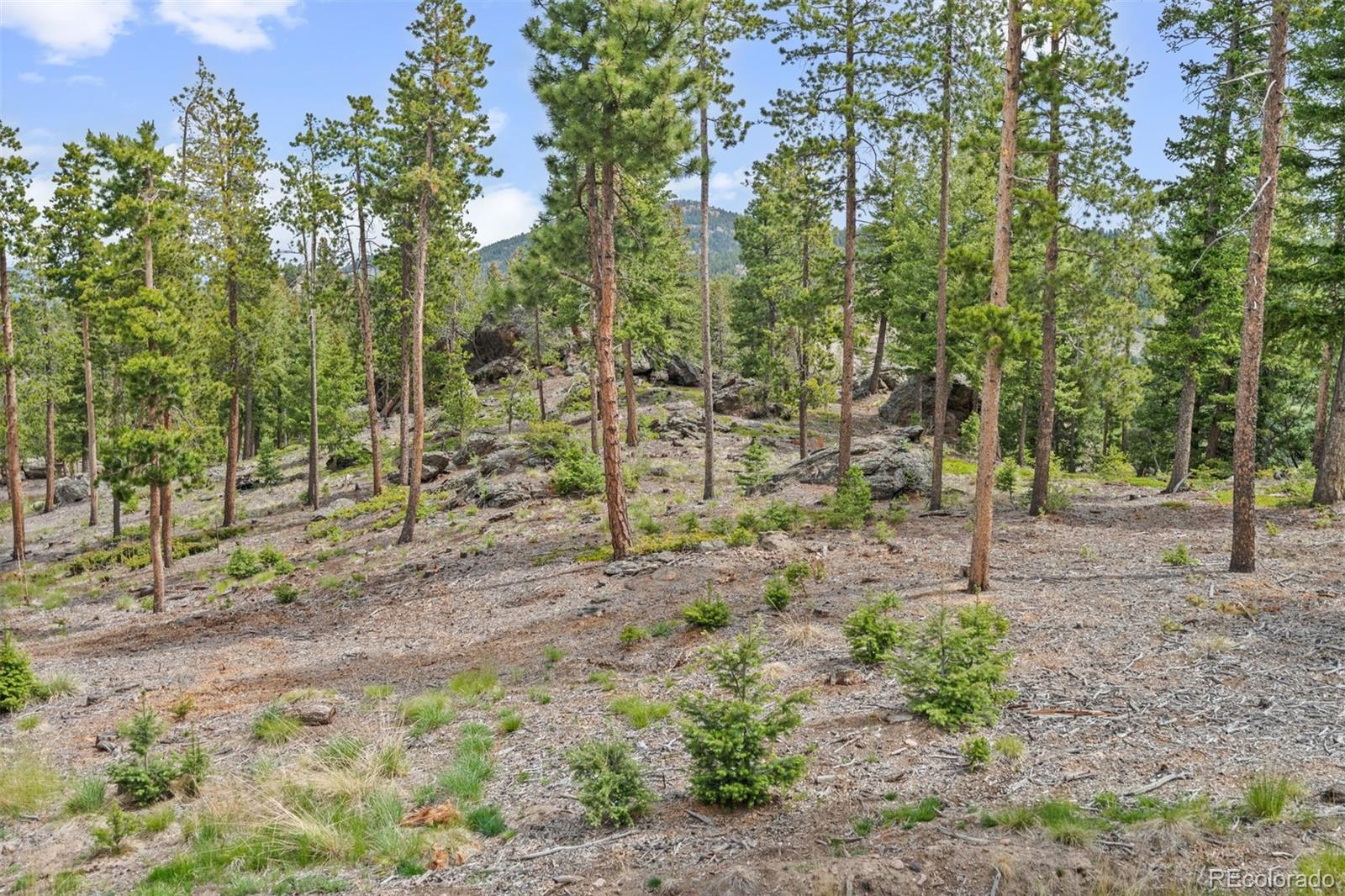 6391 Canyon Creek Road
