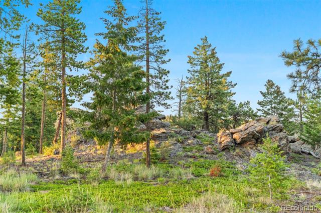 6391 Canyon Creek Road
