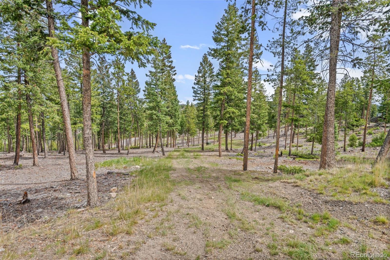 6391 Canyon Creek Road