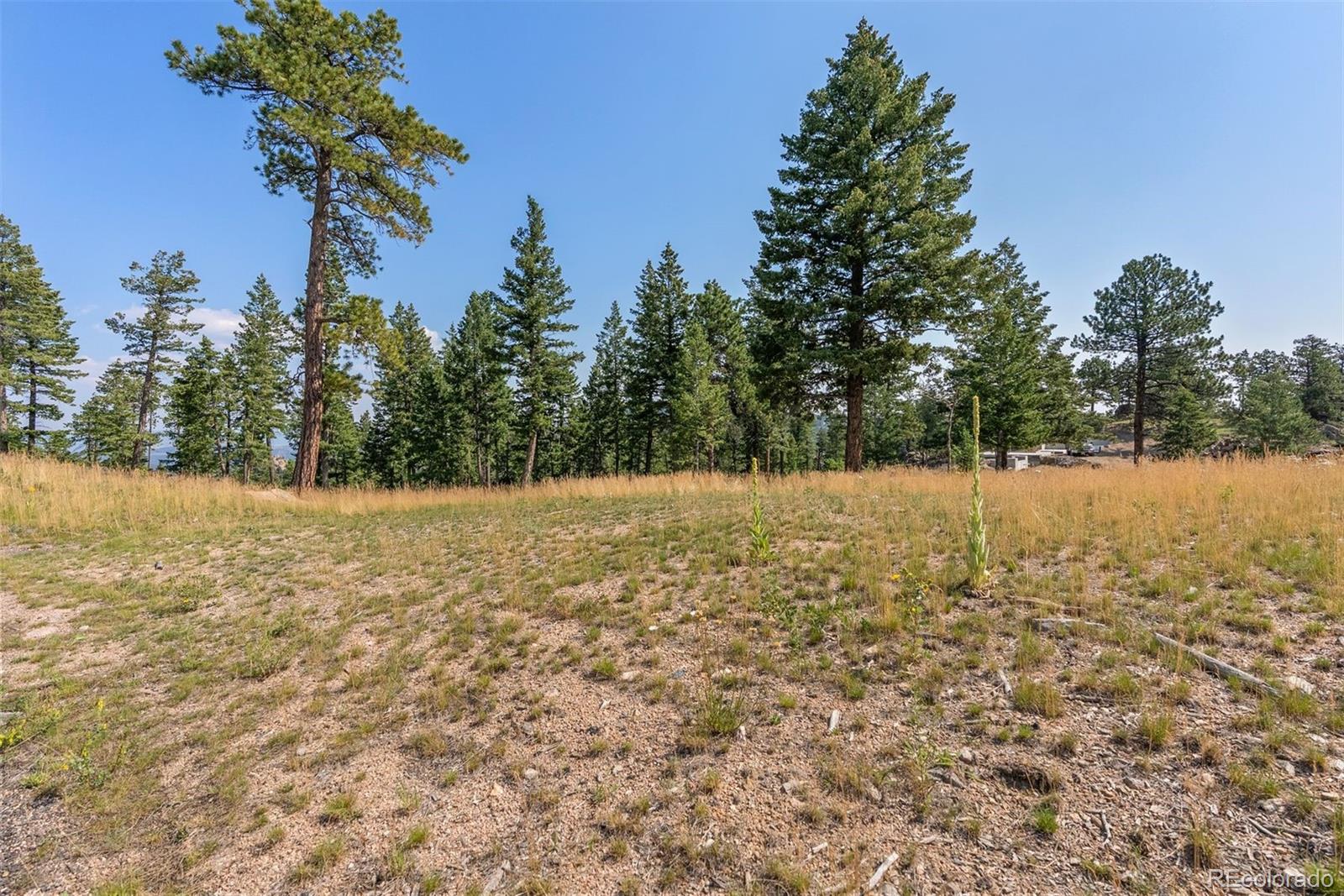 6371 Canyon Creek Road