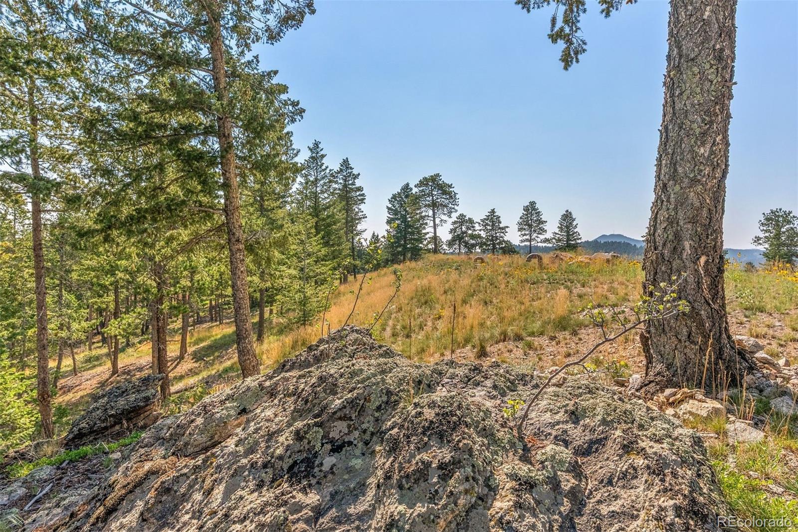 6371 Canyon Creek Road