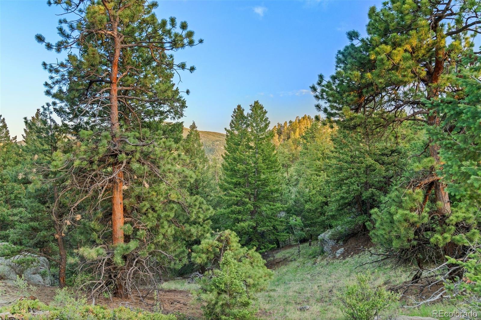 6371 Canyon Creek Road