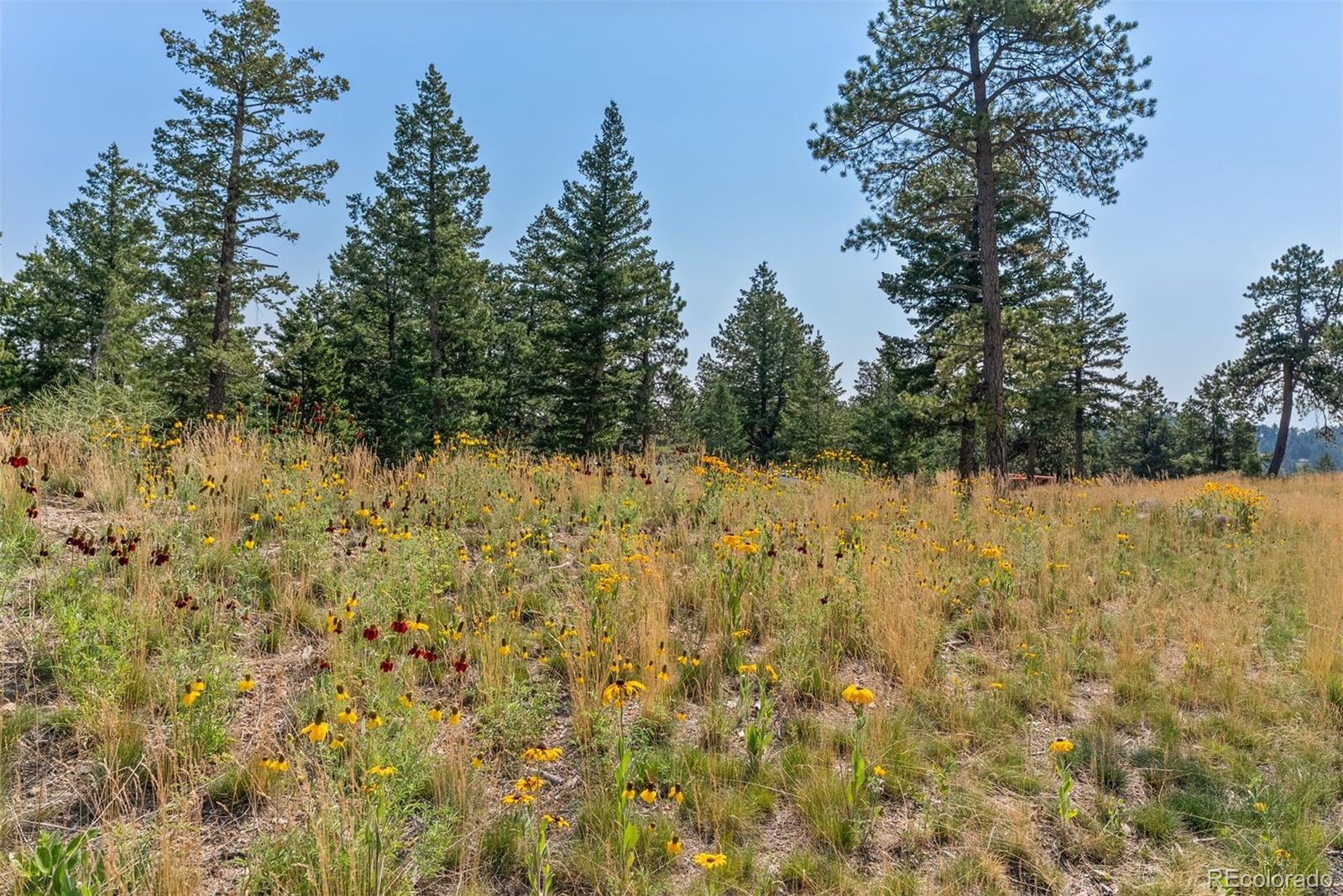 6371 Canyon Creek Road