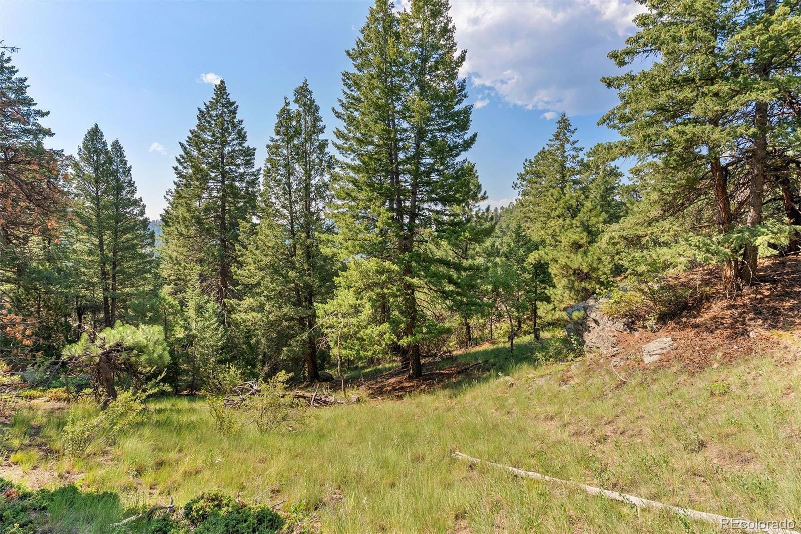 6371 Canyon Creek Road