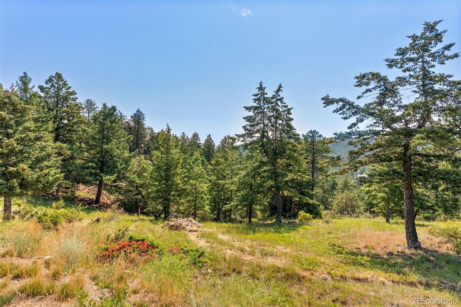 6371 Canyon Creek Road