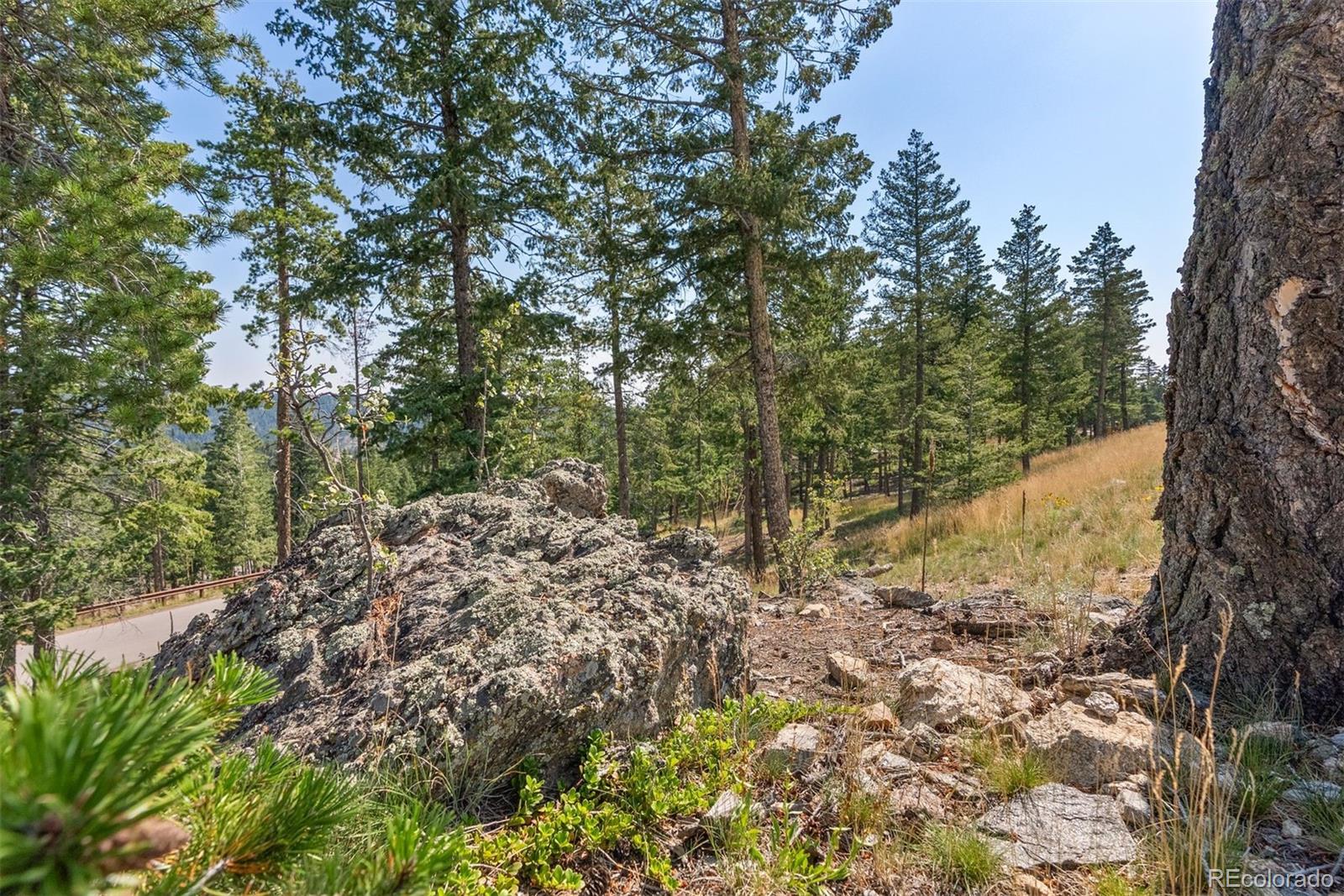 6371 Canyon Creek Road