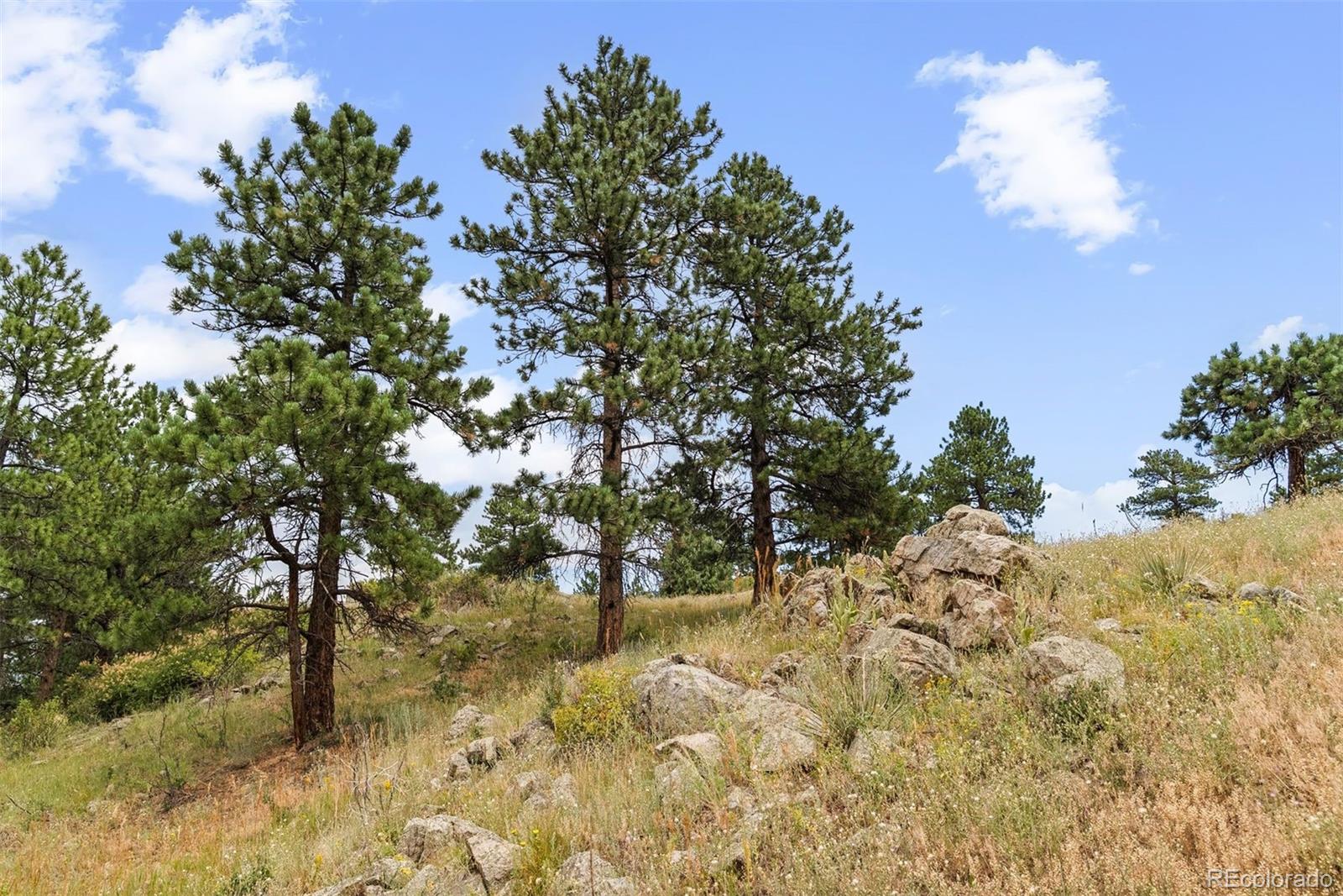 1162 Swede Gulch Road