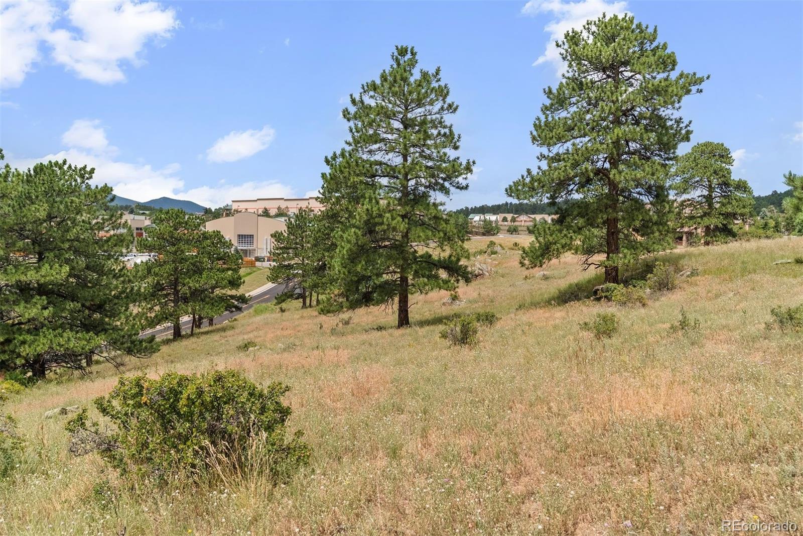 1162 Swede Gulch Road