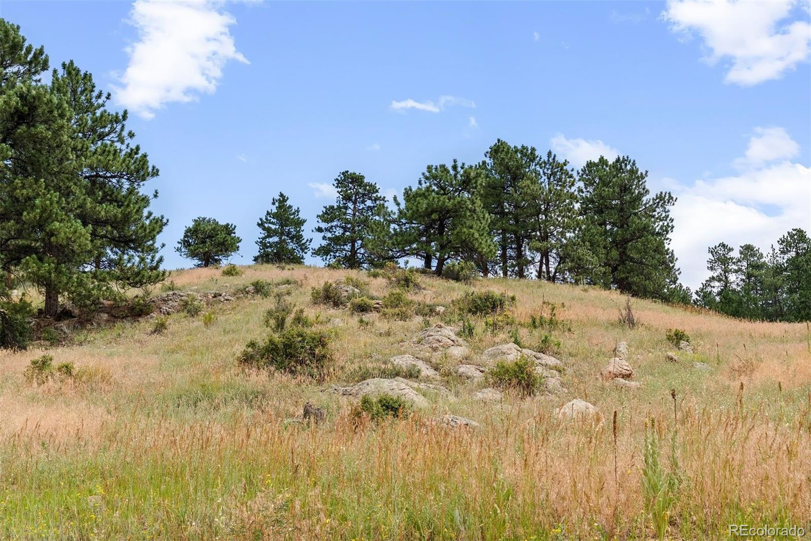 1162 Swede Gulch Road