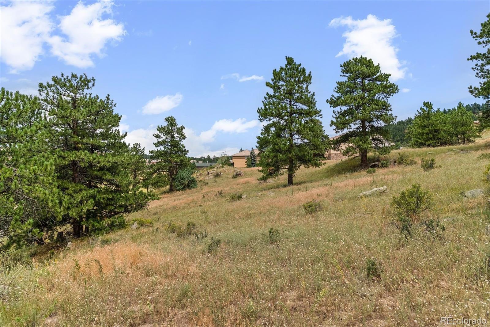 1162 Swede Gulch Road