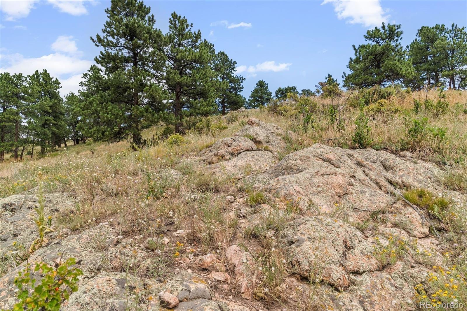 1162 Swede Gulch Road