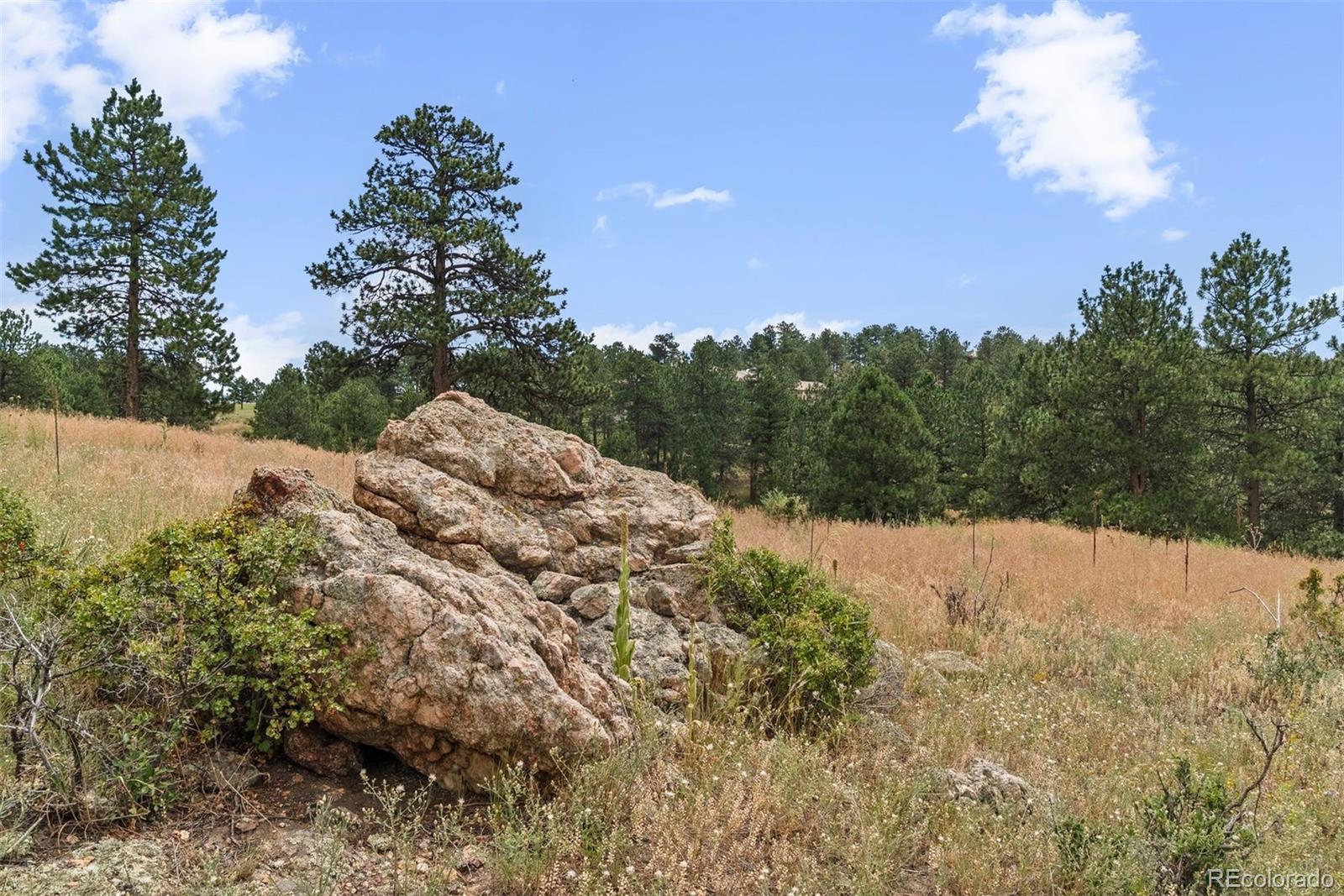 1162 Swede Gulch Road