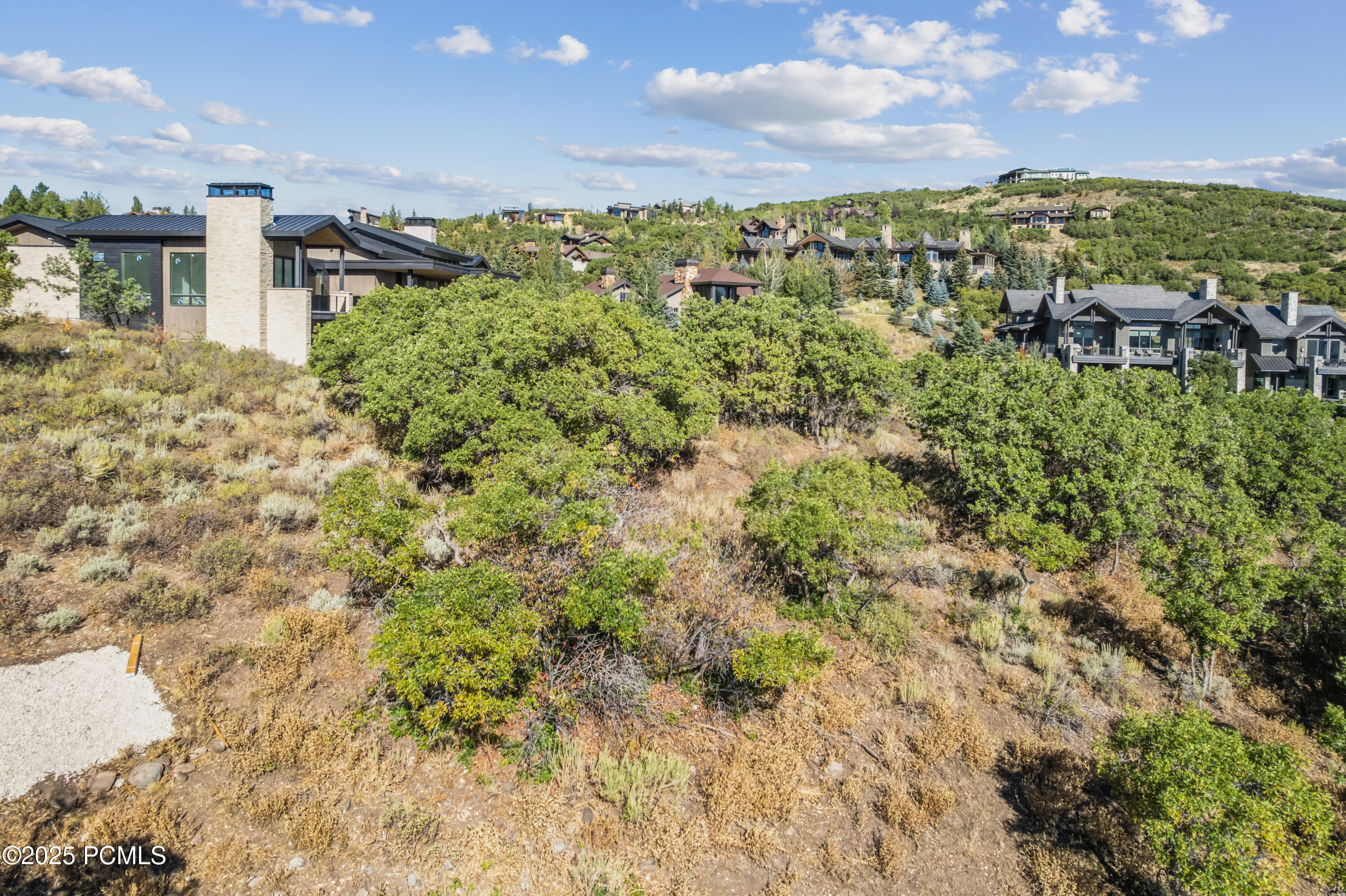 1146 Snow Berry Street, 62