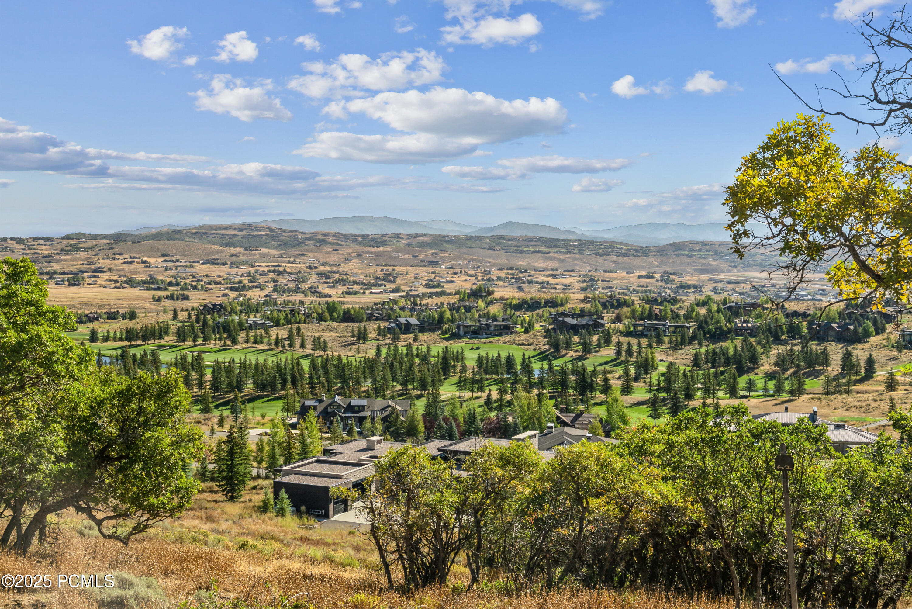 1146 Snow Berry Street, 62