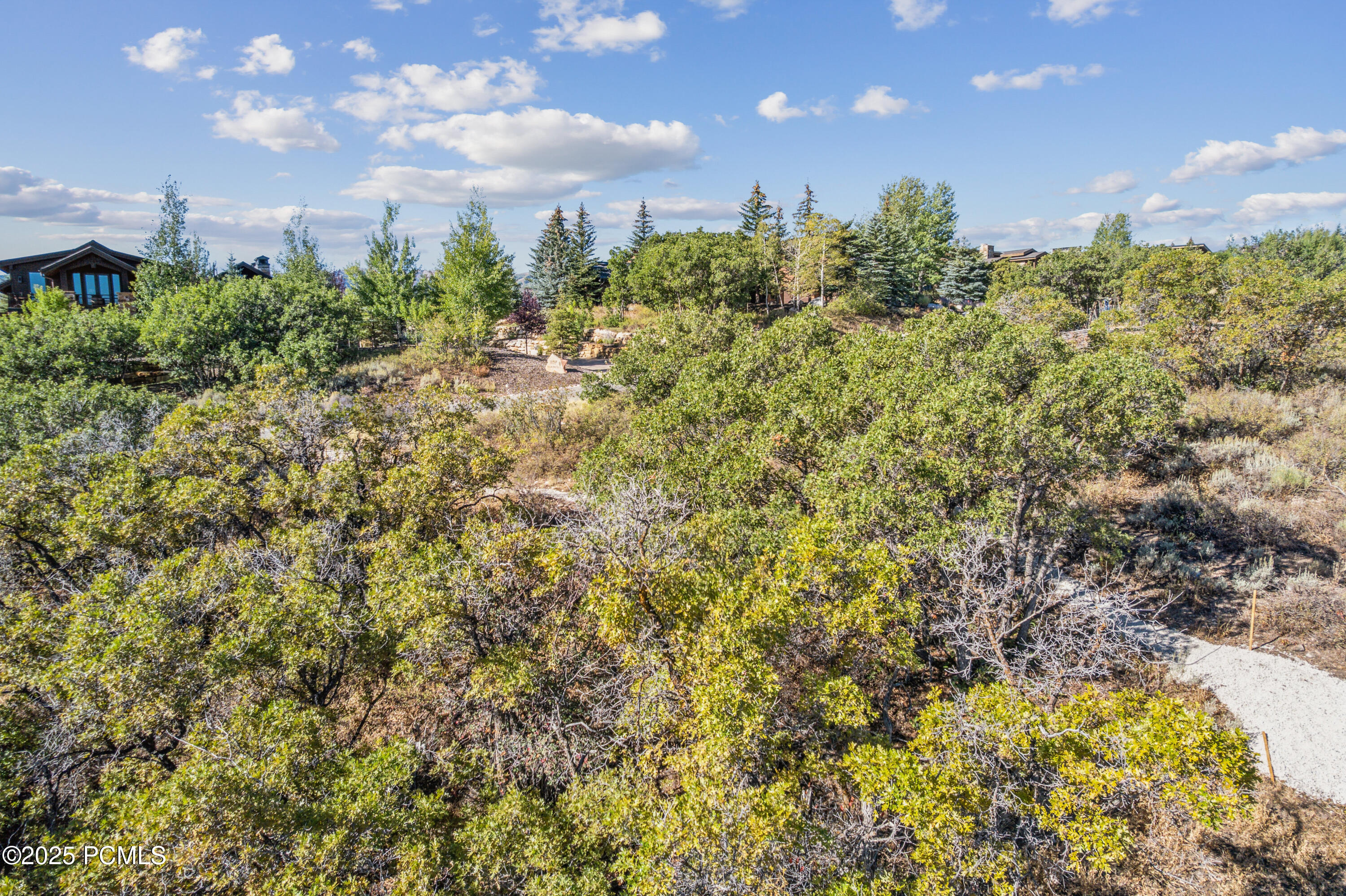 1146 Snow Berry Street, 62