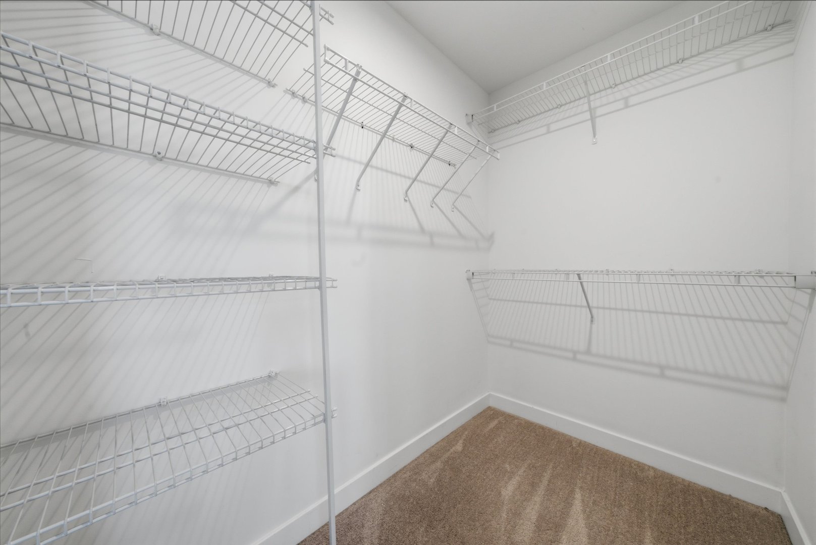 15603 Alice Mae Court