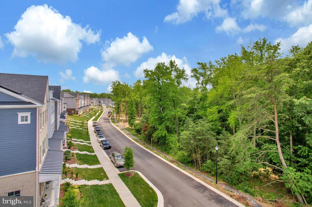 113 TREBLIS WAY