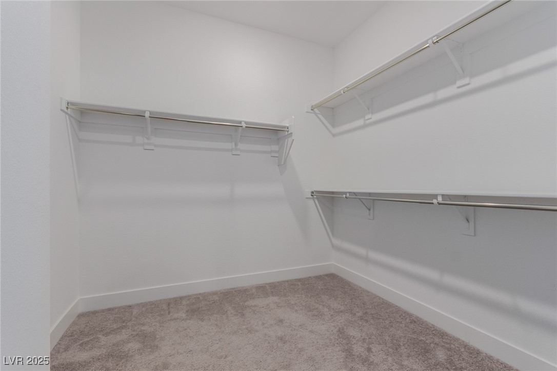 11635 Gentle Birdsong Avenue