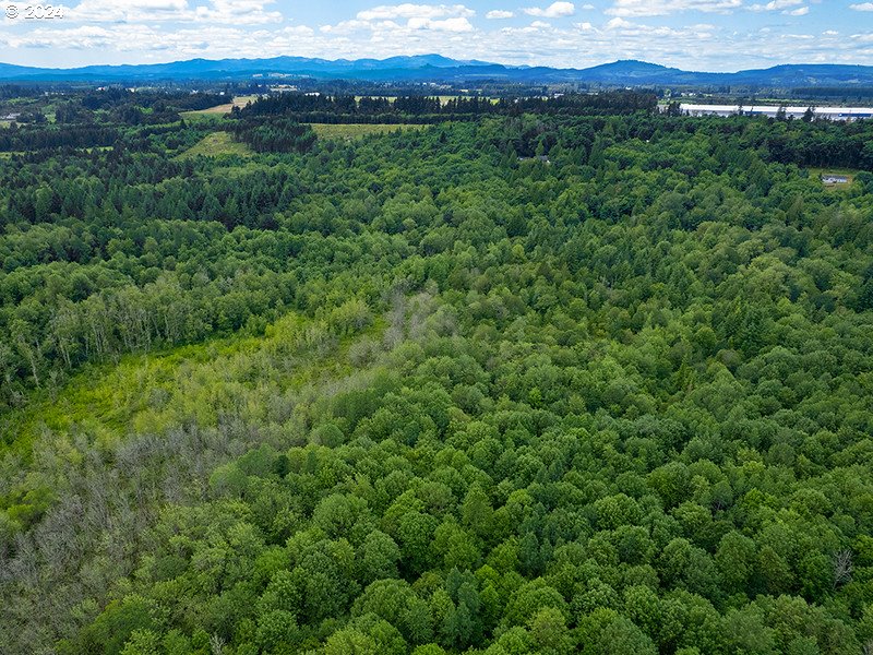 Aerial view of densely forested land with distant mountain ridges.