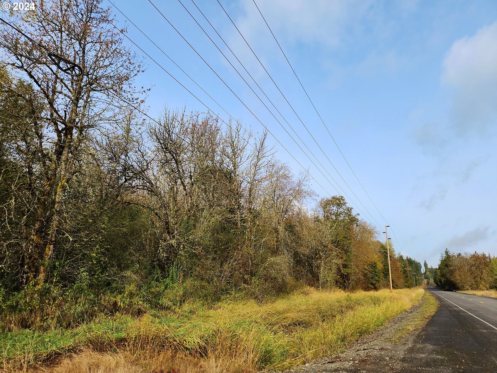 Wooded vacant lot beside a paved road, with utility poles and overhead power lines.