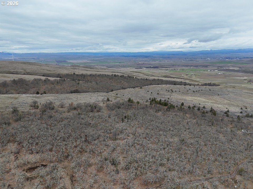 167 COLUMBIA HILLS LN Lot 44