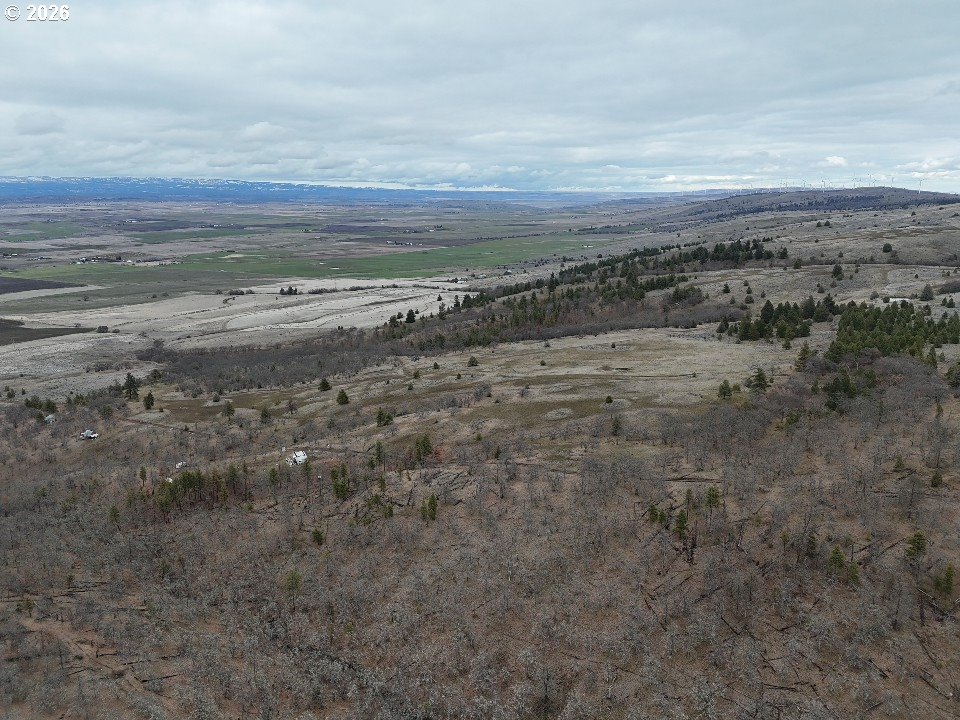 167 COLUMBIA HILLS LN Lot 44