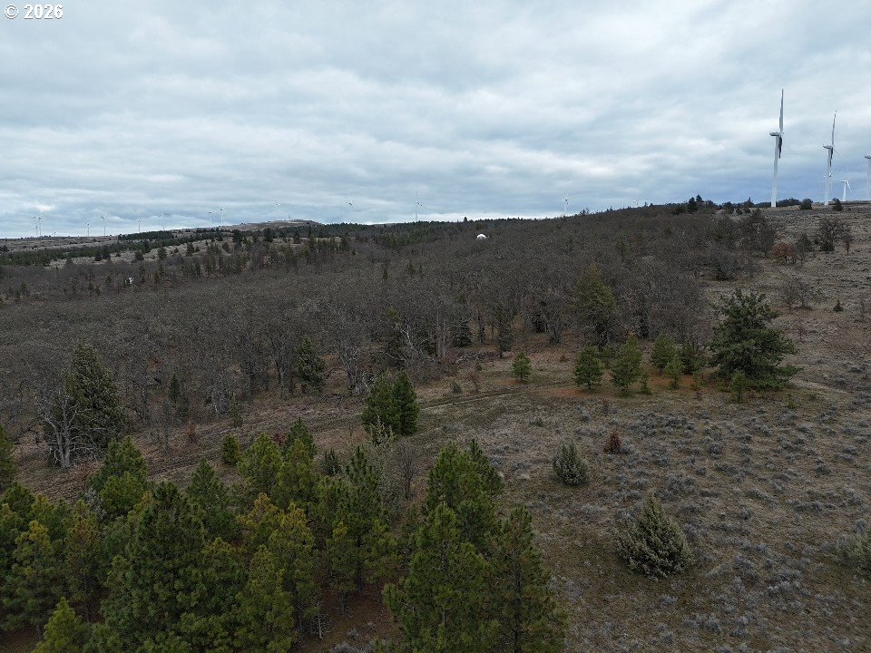 167 COLUMBIA HILLS LN Lot 44