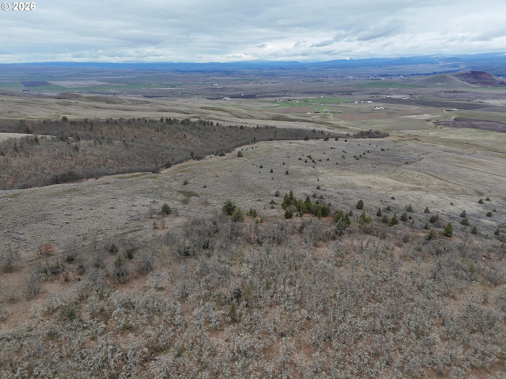 167 COLUMBIA HILLS LN Lot 44