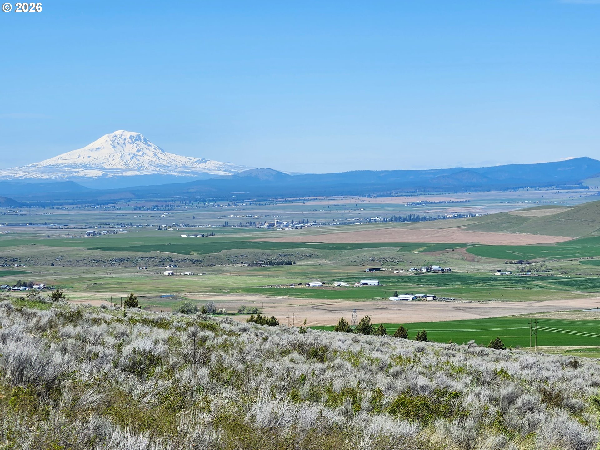 167 COLUMBIA HILLS LN Lot 44