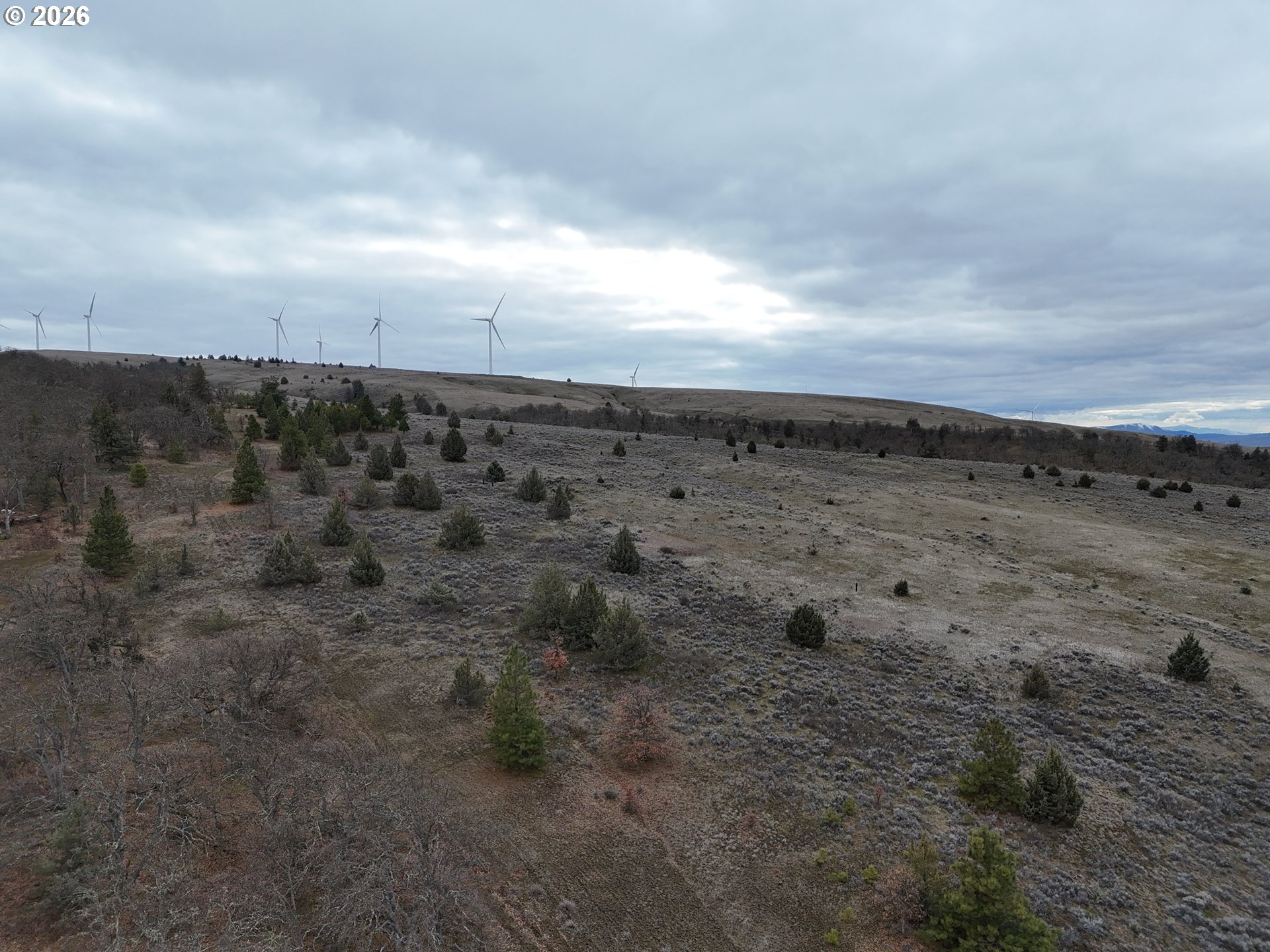 167 COLUMBIA HILLS LN Lot 44